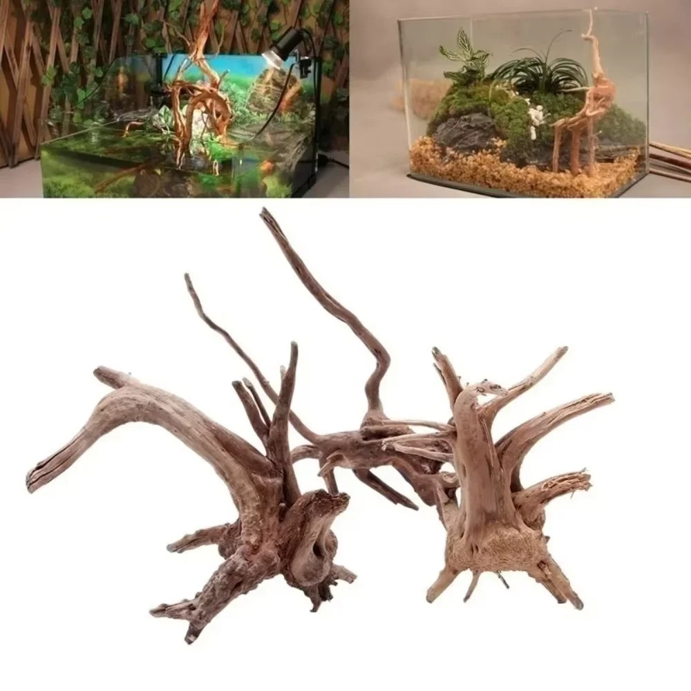 Aquarium Moss - Décoration d'aquarium en bois flotté naturel