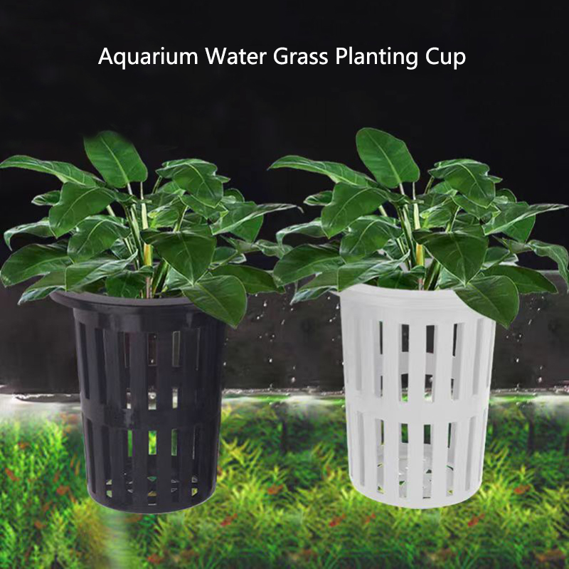 Aquarium Plants Live - Panier de plantes d'aquarium, jardinière murale
