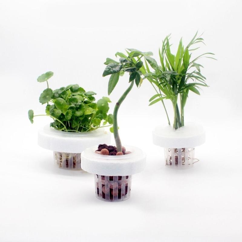 Aquarium Plant Holder - Panier flottant pour plantes aquatiques, support