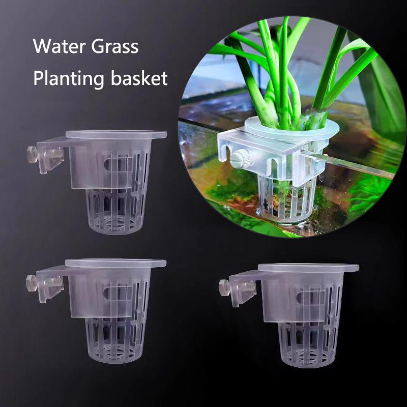Aquarium Plants Live - Panier de plantation d'aquarium, Support hydroponique