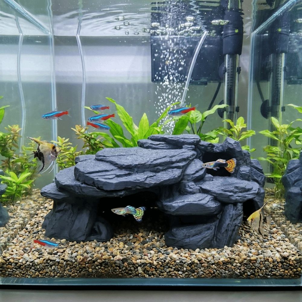 Ornements de rocherie pour aqu - Aquarium Plants Live avis et prix