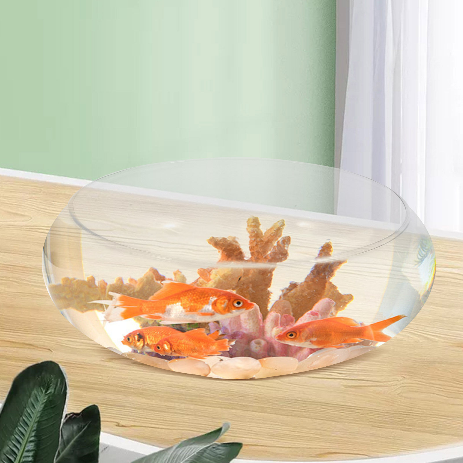 Petit aquarium en verre, idéal - Plant Aquarium Pot avis et prix