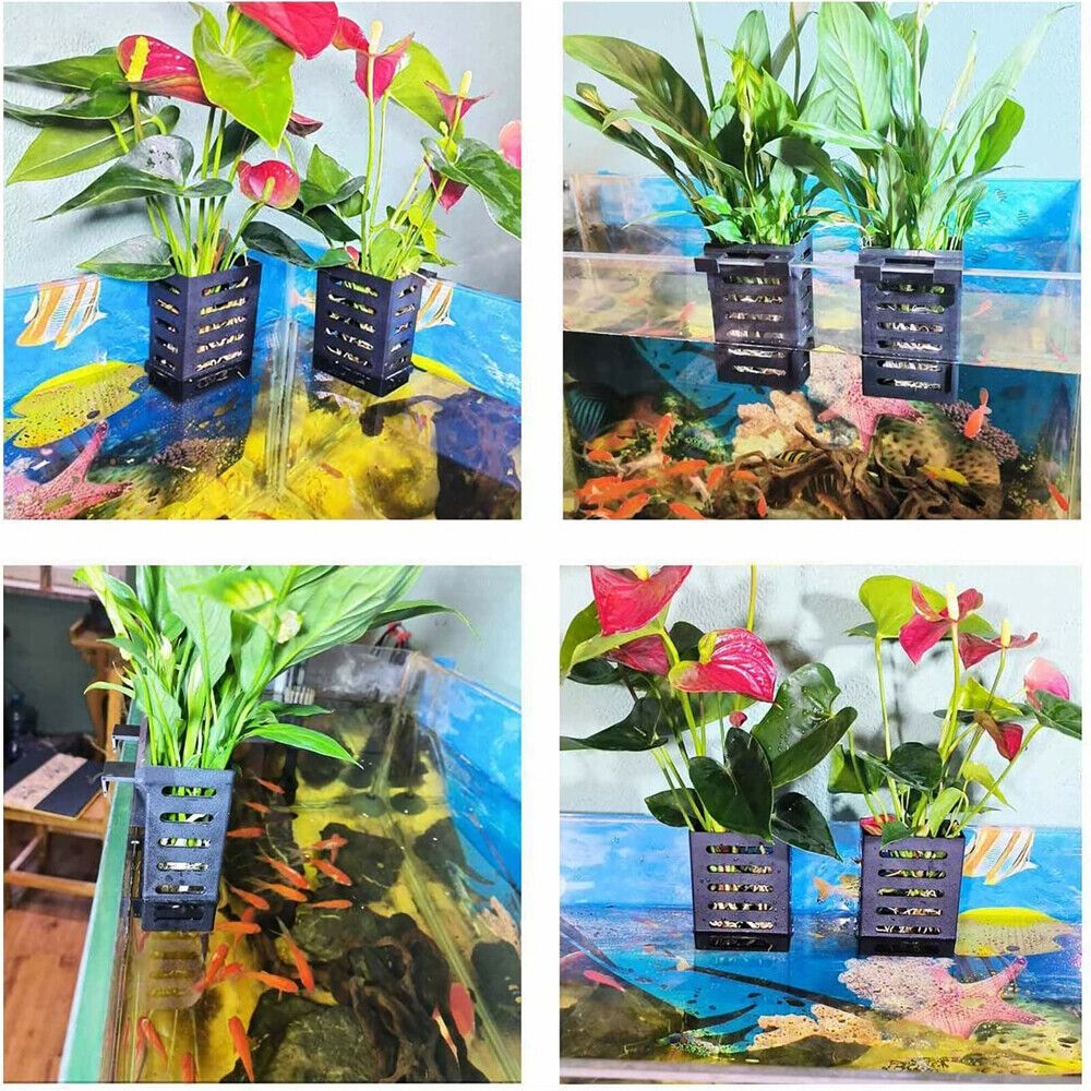 Support pour plantes d'aquariu - Aquarium Plant Holder avis et prix