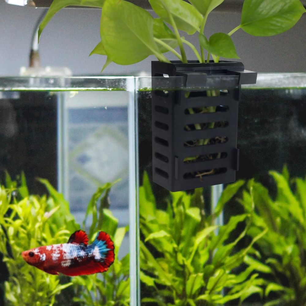 Support pour plantes d'aquariu - Aquarium Plant Holder avis et prix