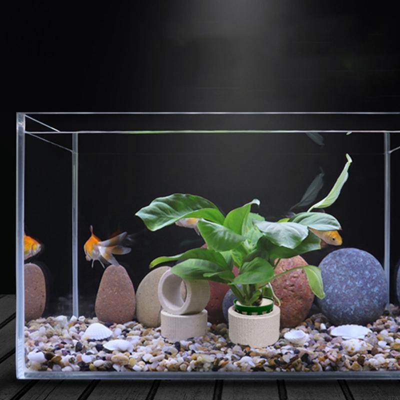 37ME – ensemble d'anneaux fixe - Aquarium Plant Holder avis et prix