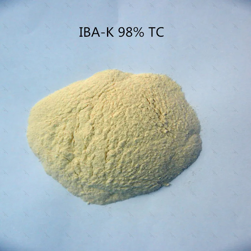 10 Gramme-1 KG 98% IBA-K Solub - Aquarium Fertilizer avis et prix