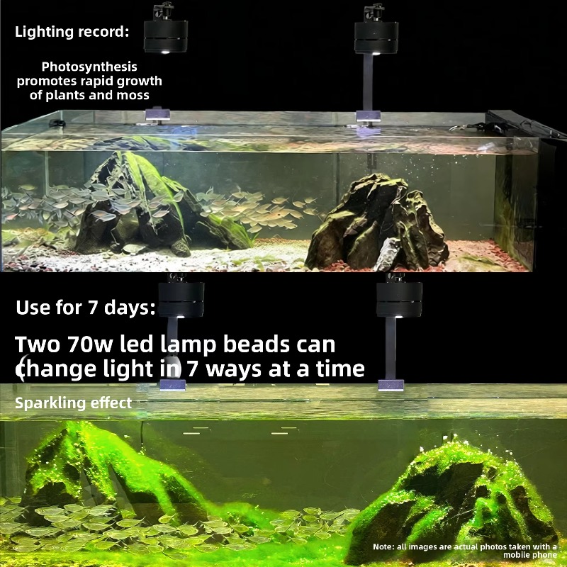 Lampe LED à spectre complet po - Aquarium Moss avis et prix