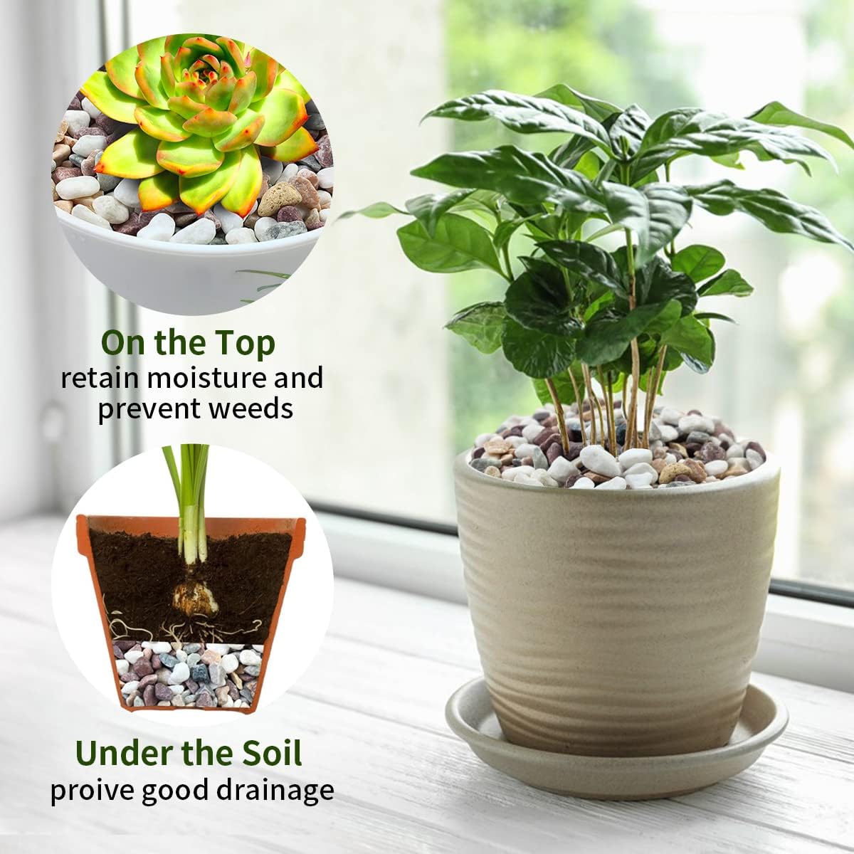 Gravier de couleurs mélangées, - Plant Aquarium Pot avis et prix