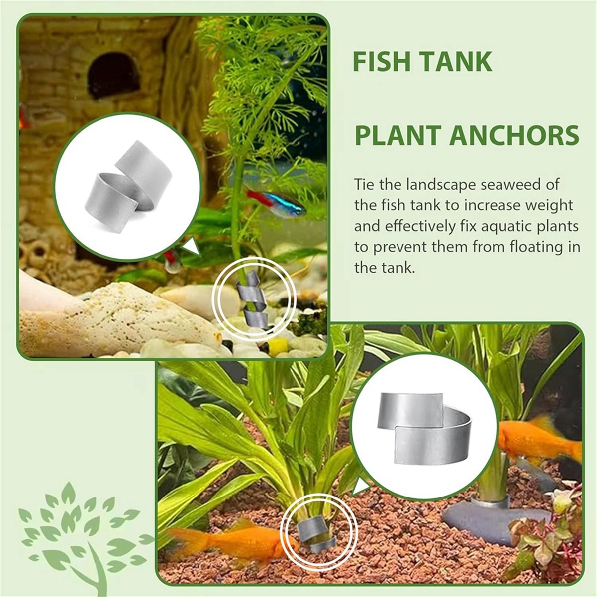 Poids pour plantes d'aquarium  - Live Plant Aquarium avis et prix