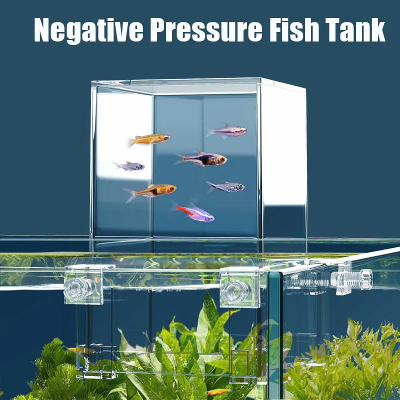 Aquarium à pression négative a - Plant Aquarium Pot avis et prix