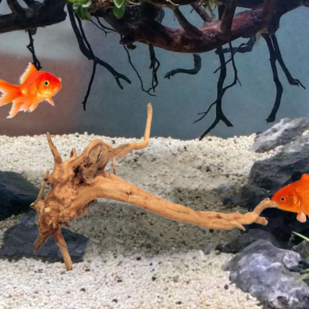 Bois flotté naturel de 20-25 c - Aquarium Plants Live avis et prix