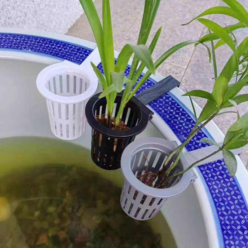 Panier de plantes d'aquarium,  - Aquarium Plants Live avis et prix