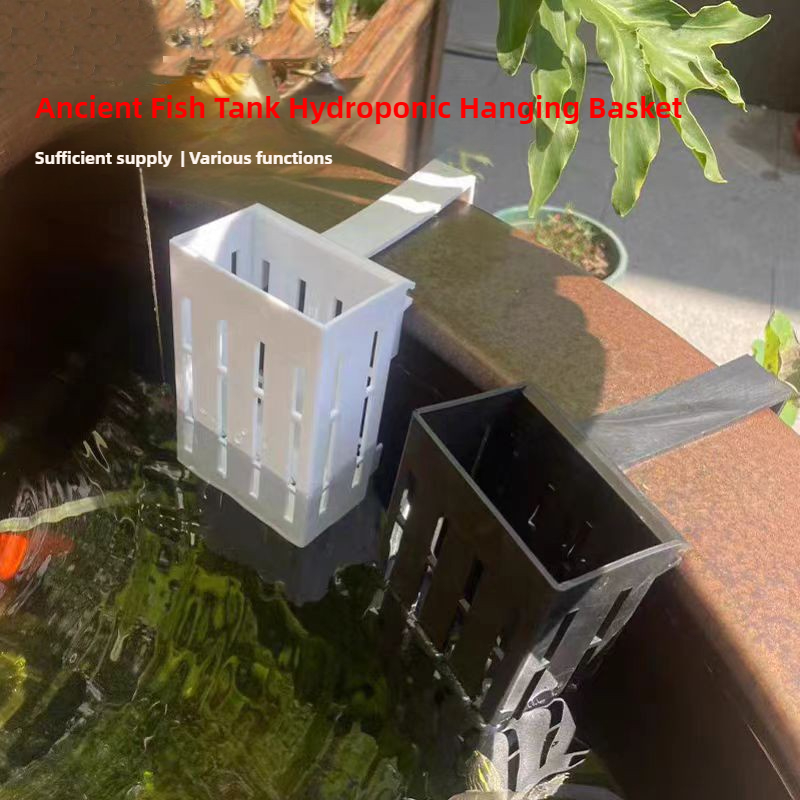 Panier de plantes d'aquarium,  - Aquarium Plants Live avis et prix