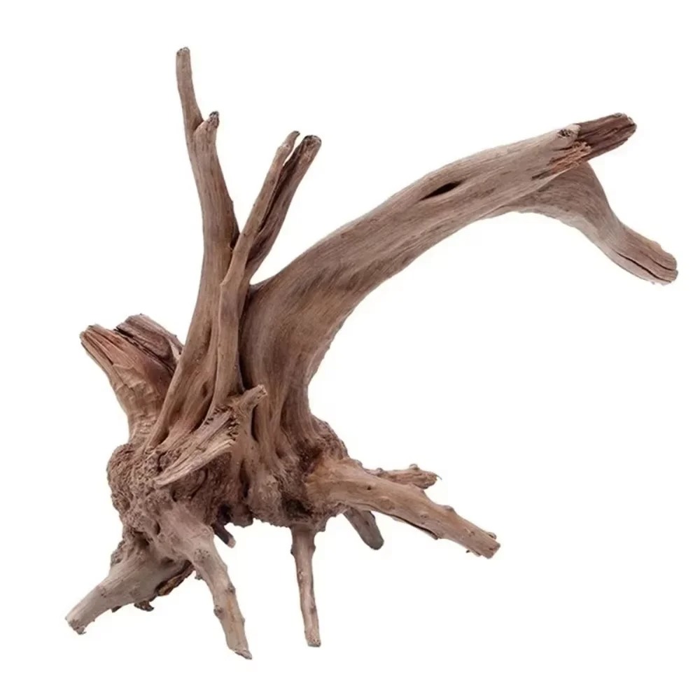 Décoration d'aquarium en bois  - Aquarium Moss avis et prix