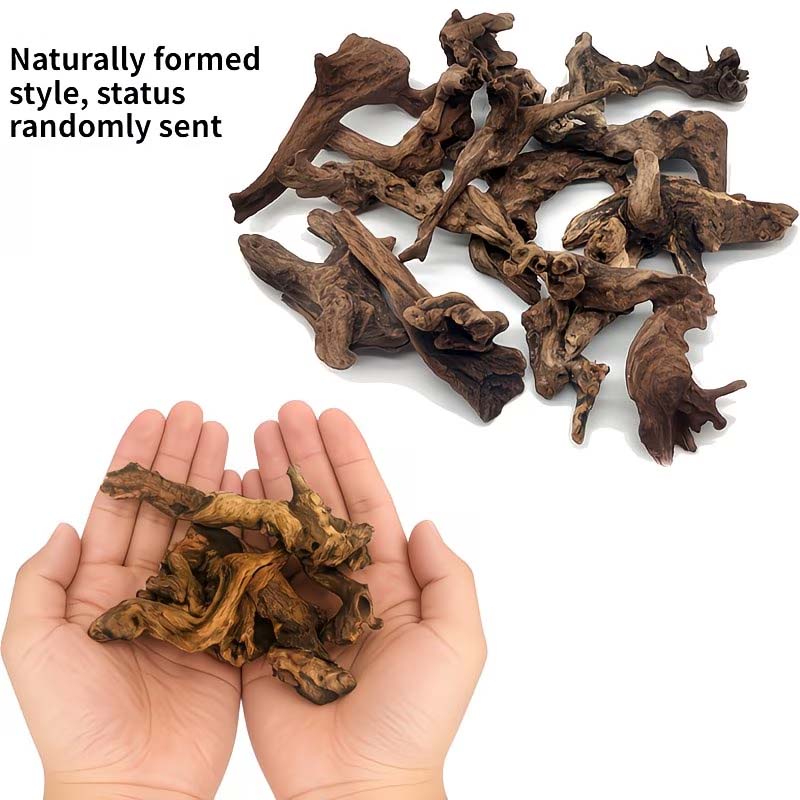 Bois flottant naturel de 5 à 1 - Aquarium Plants Live avis et prix