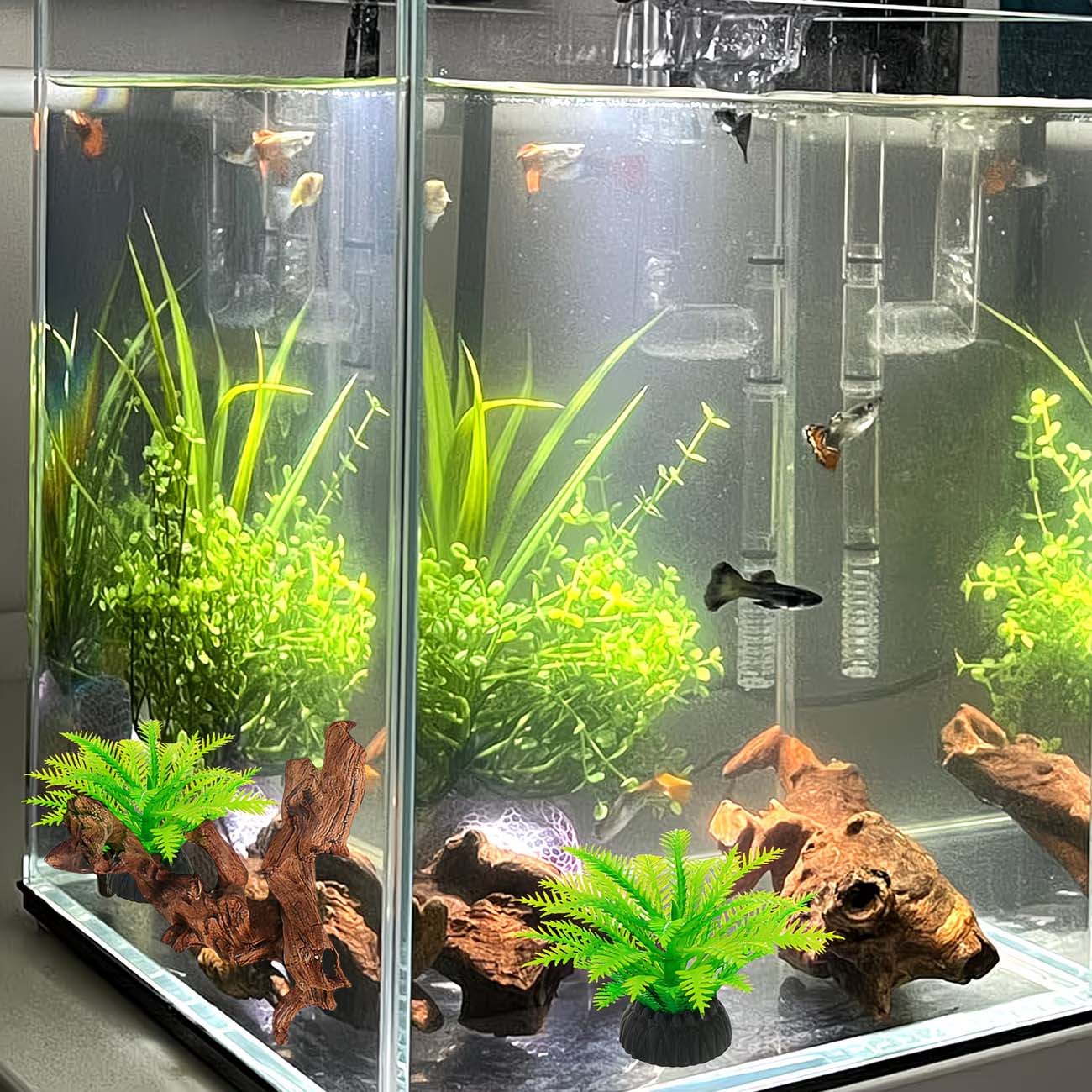 Bois flottant naturel de 5 à 1 - Aquarium Plants Live avis et prix