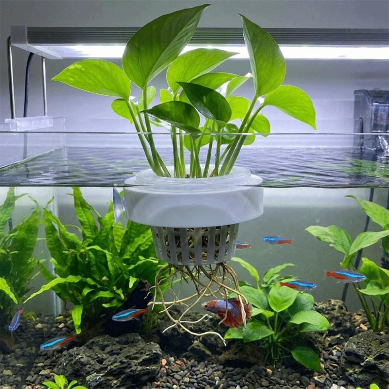 Panier flottant pour plantes a - Aquarium Plant Holder avis et prix