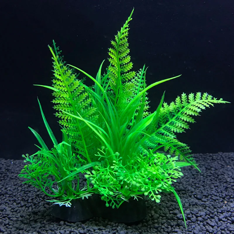 Aquarium artificiel décor plan - Live Plant Aquarium avis et prix