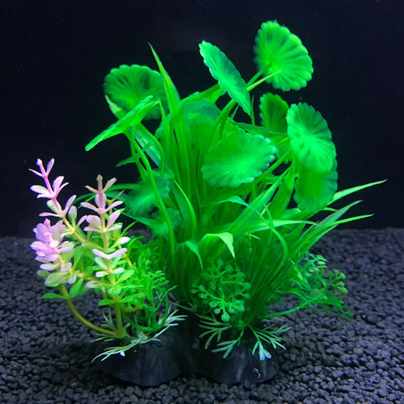 Aquarium artificiel décor plan - Live Plant Aquarium avis et prix