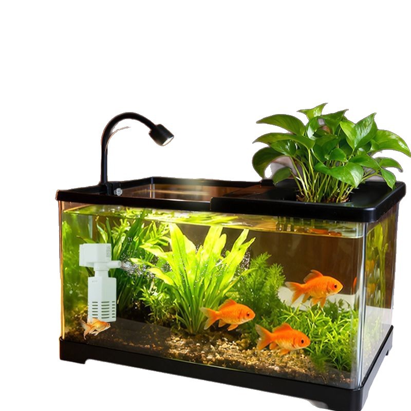 Aquarium pour salon, avec couv - Live Plant Aquarium avis et prix