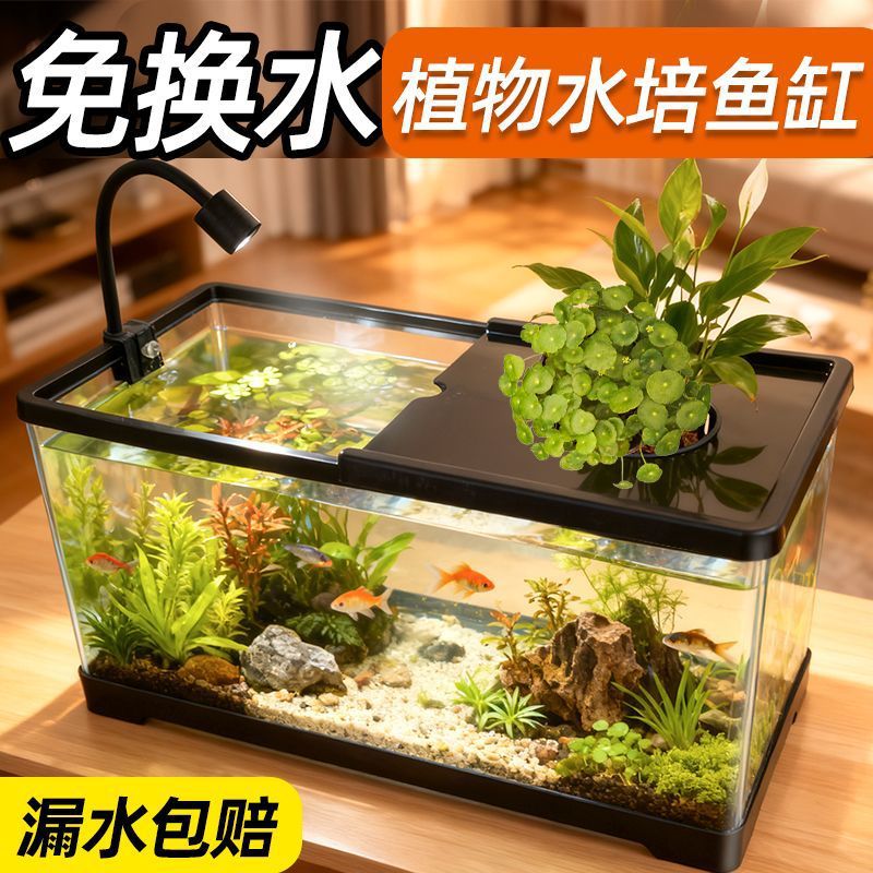 Aquarium pour salon, avec couv - Live Plant Aquarium avis et prix