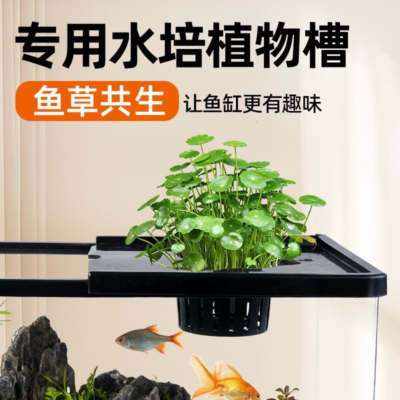 Aquarium pour salon, avec couv - Live Plant Aquarium avis et prix