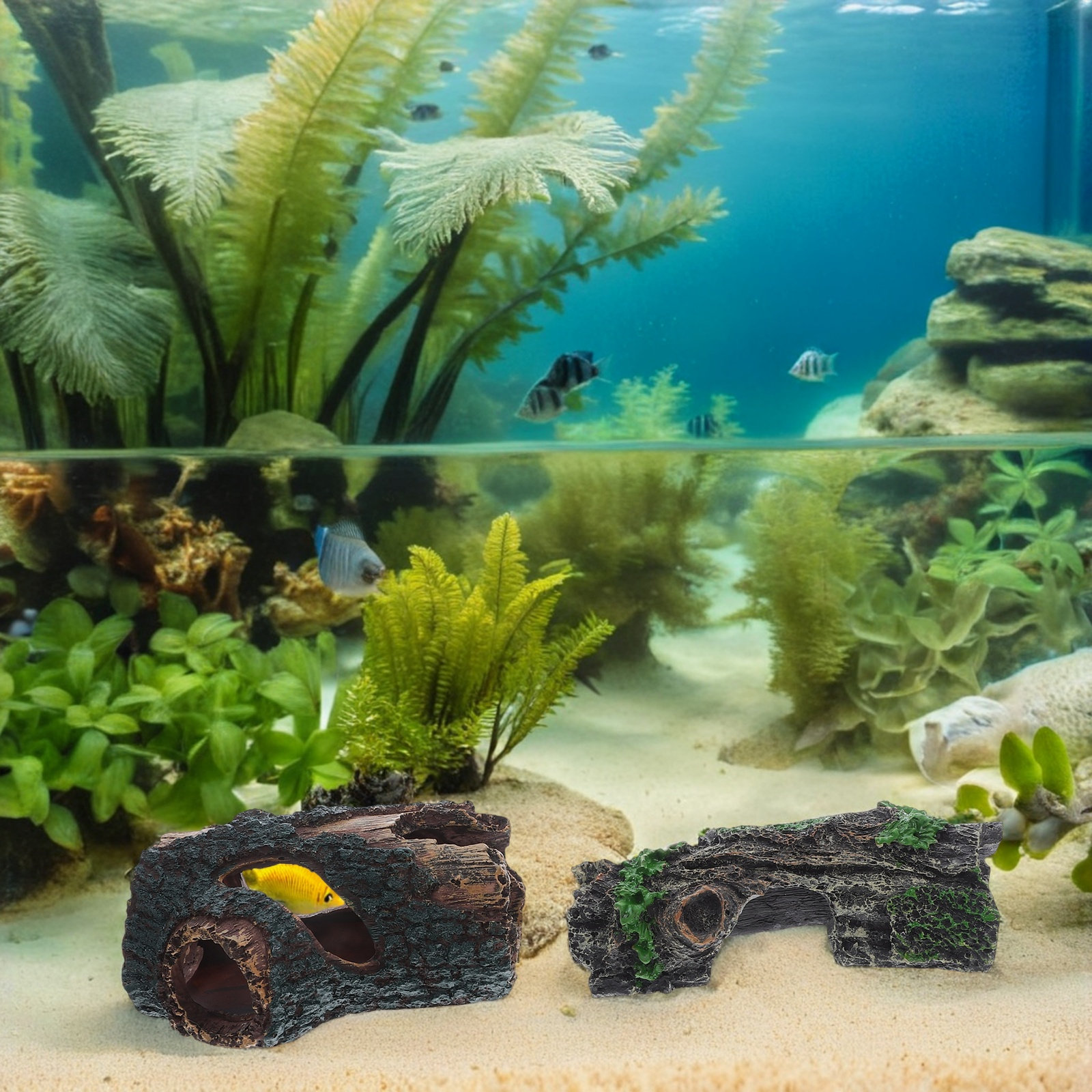 4 pièces de bois flotté artifi - Aquarium Driftwood avis et prix
