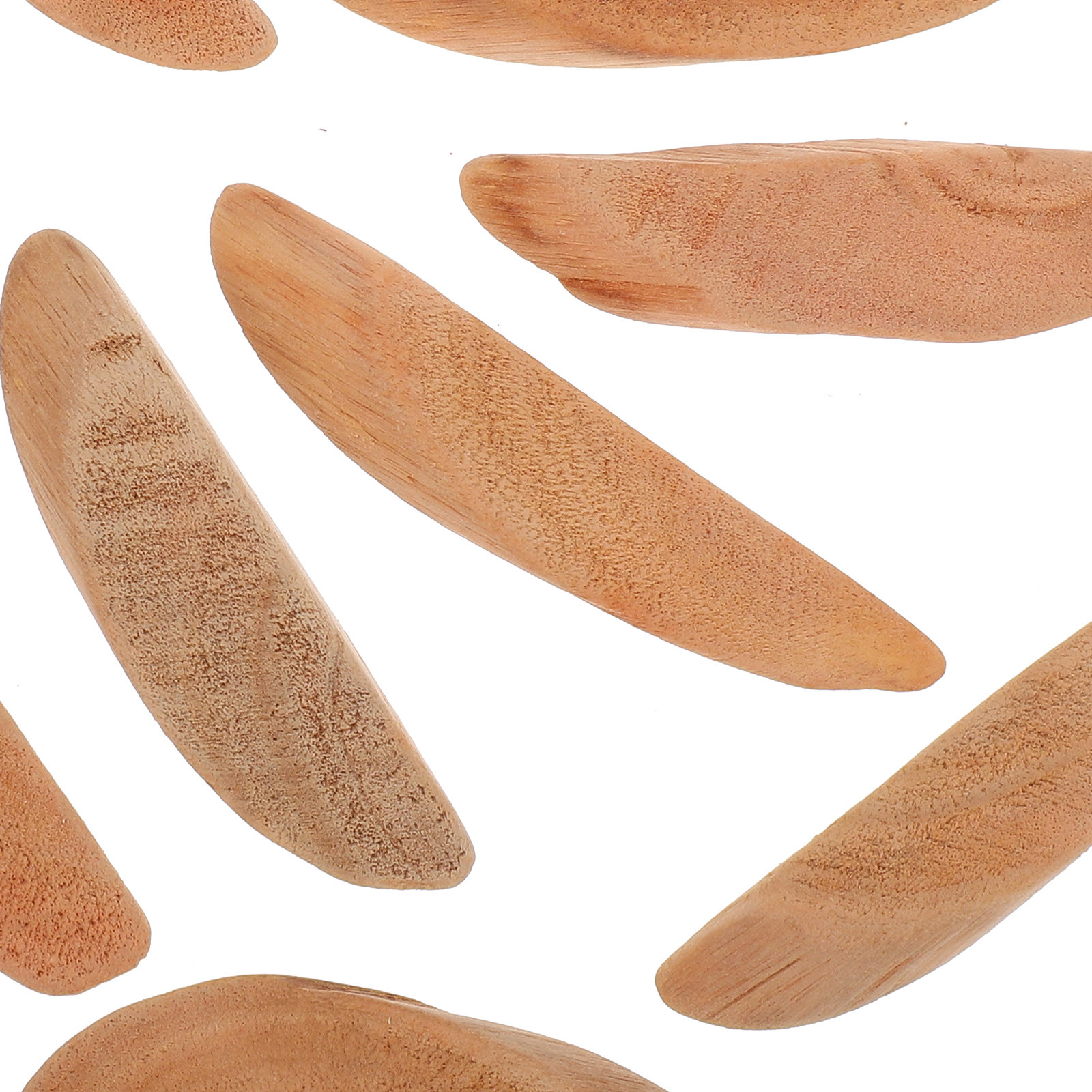 Pièces de bois flotté naturel  - Aquarium Driftwood avis et prix