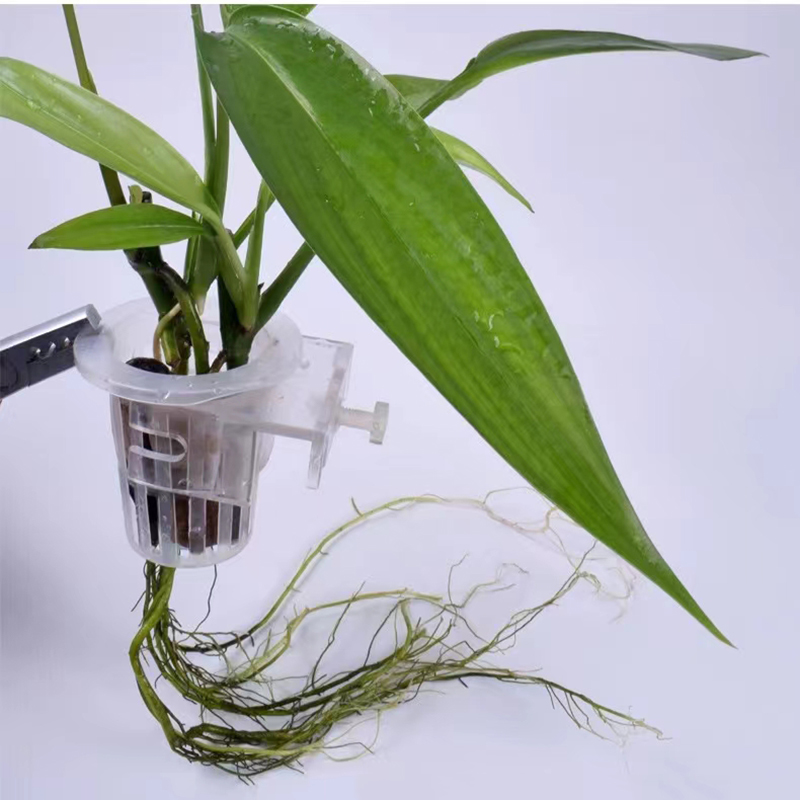 Panier de plantation d'aquariu - Aquarium Plants Live avis et prix