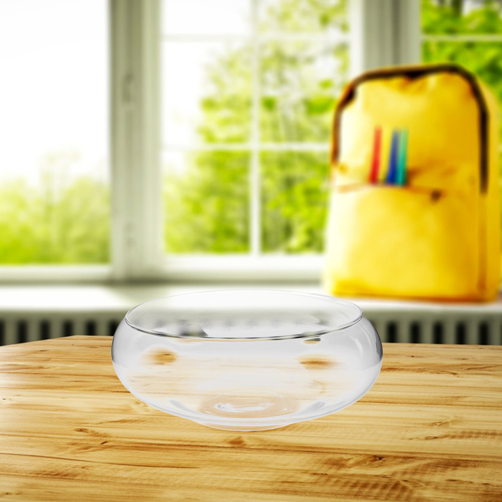 Bol de culture hydroponique en - Planted Tank avis et prix