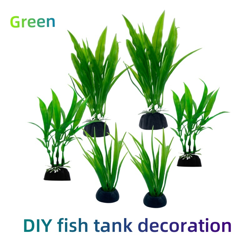 Lot de 6 plantes d'aquarium, d - Live Plant Aquarium avis et prix